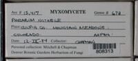 Image Associated With the Occurence